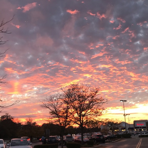 Meet your Posher, Julia - Picture 1 of 1